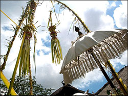 Bali Galungan Day