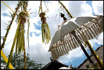 Bali galungan day