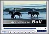 Video of Bali tour activities